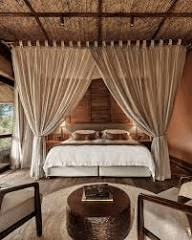 Forest Retreat — View 4