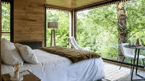 Forest Retreat — View 7